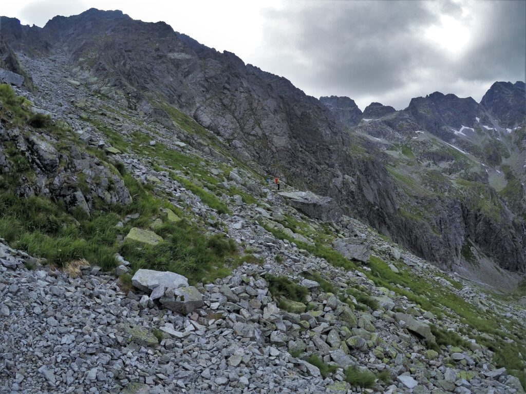 Środkowe Żebro Granatów Środkowe Żebro Granatów