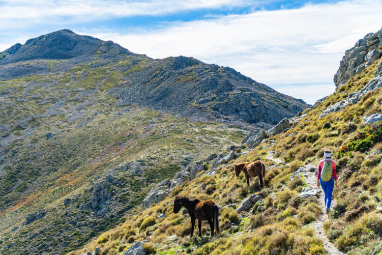 W drodze na szczyt La Marmora